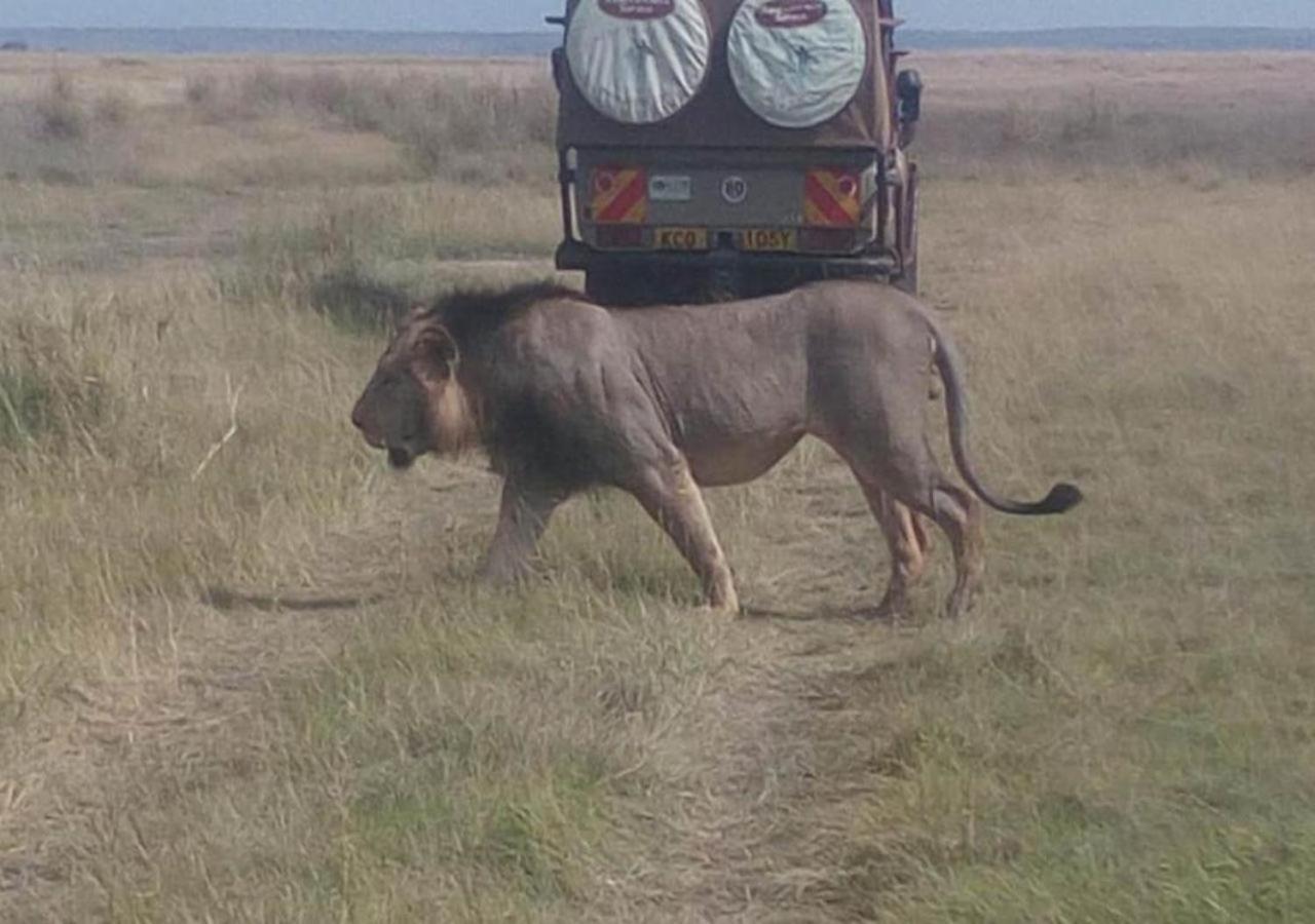 Aa Lodge Maasai Mara Talek 외부 사진