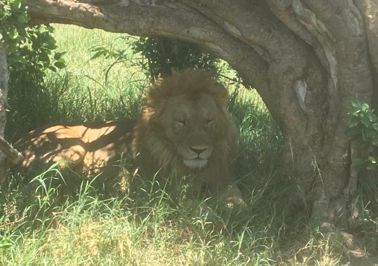 Aa Lodge Maasai Mara Talek 외부 사진
