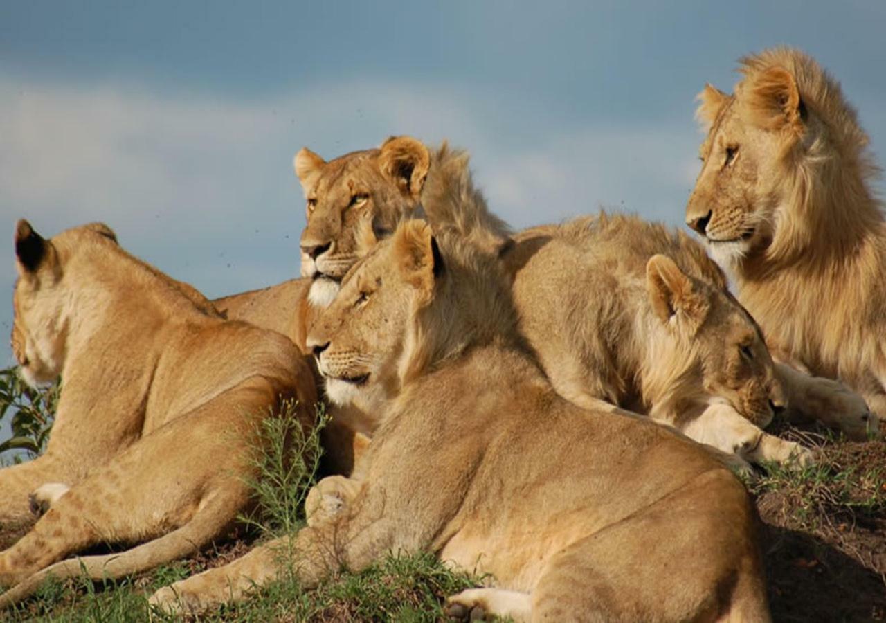 Aa Lodge Maasai Mara Talek 외부 사진